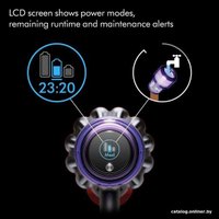 Пылесос Dyson V11 2023 446976-01