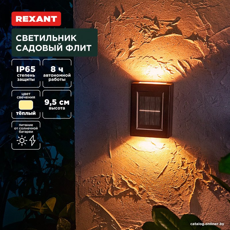 Уличный настенный светильник Rexant Флит 602-2416