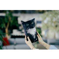 Игрушка-подушка Мальвина Чмоня кот мем 9.439.1