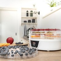 Сушилка для овощей и фруктов First FA-5126-8