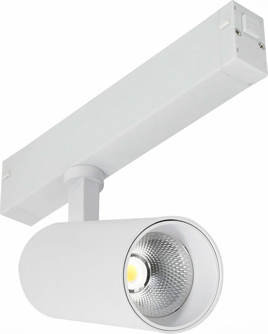 

Трековый светильник ST Luce ST660.546.20H