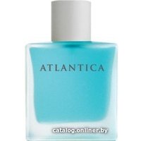 Туалетная вода Dilis Parfum Atlantica Alpha&Omega EdT 100 мл