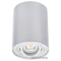 Точечный светильник Kanlux BORD DLP-50-AL [22550]