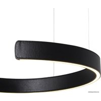 Подвесная люстра LOFT IT Ring 10025/400 Black