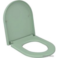 Сиденье для унитаза Ambassador Abner 102T21001 (мятный матовый)