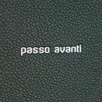 Сумка Passo Avanti 915-9067-GRN (зеленый)
