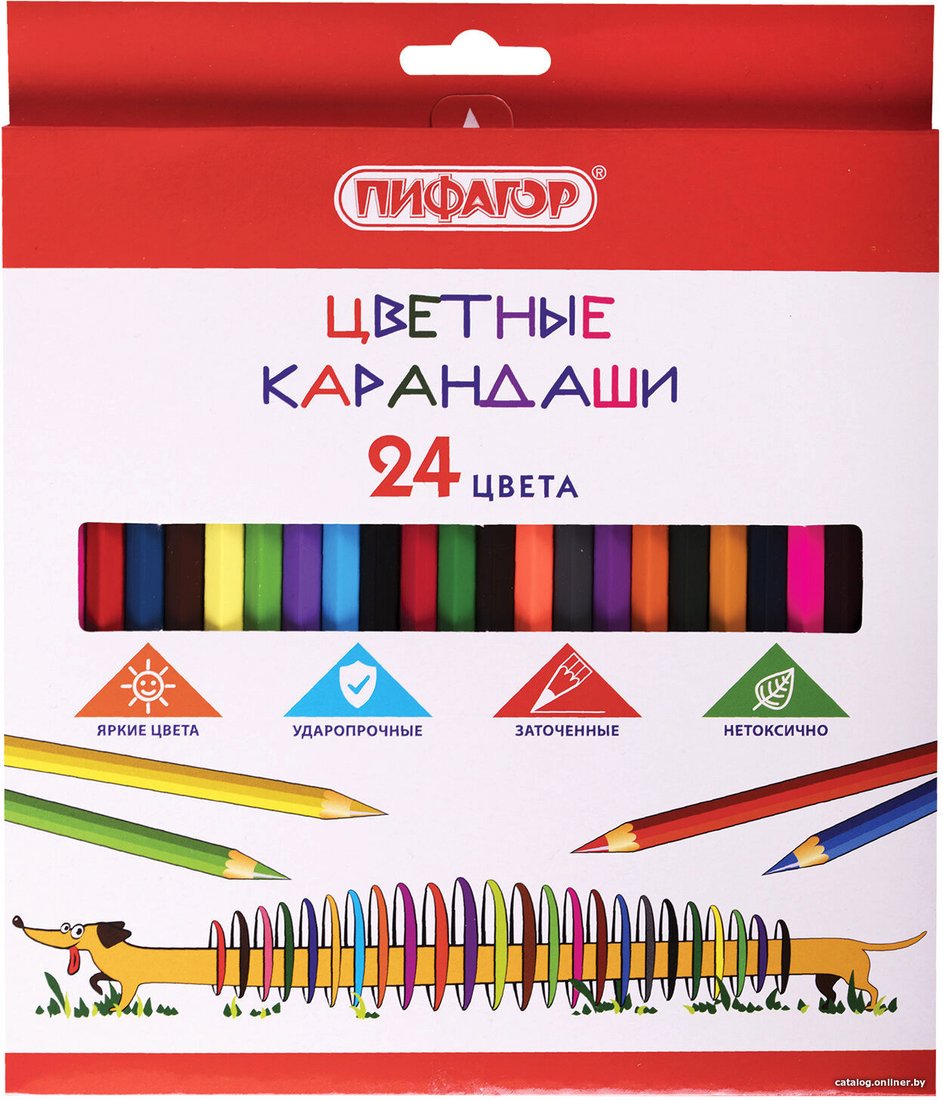 Набор цветных карандашей Пифагор Веселая такса 181808 (24цв)