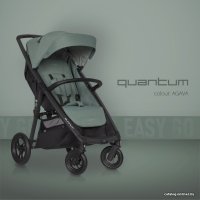 Коляска прогулочная «книга» EasyGo Quantum 2021 (agava)