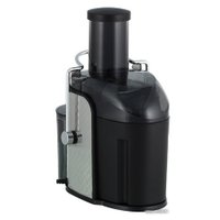 Соковыжималка Scarlett SC-JE50S11