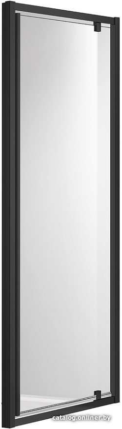 Душевая дверь Aquatek AQ ARI PI 10020BL 100x200 (черный/прозрачное стекло)