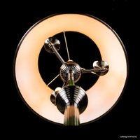 Торшер Arte Lamp Alice A3579PN-3AB