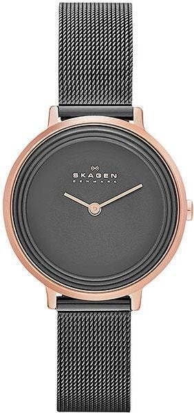 

Наручные часы Skagen SKW2277