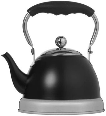 Чайник без свистка Alpenkok AK-543