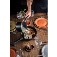 Сковорода Gastrolux A17-226