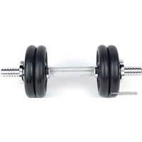 Гантель Central Sport N2 6.5 кг