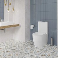 Унитаз напольный Lauter Rimless 21D2202 + гигиенический душ Rainix 21LT7713MW