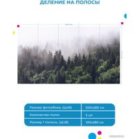 Фотообои ФабрикаФресок Туманный лес 195280 (500x280)