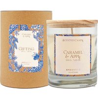 Ароматизированая свеча Ambientair Gifting. Карамель и яблоко VV401MDTO