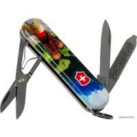 Мультитул Victorinox Classic Limited Edition 2020 I Love Hiking 0.6223.L2002