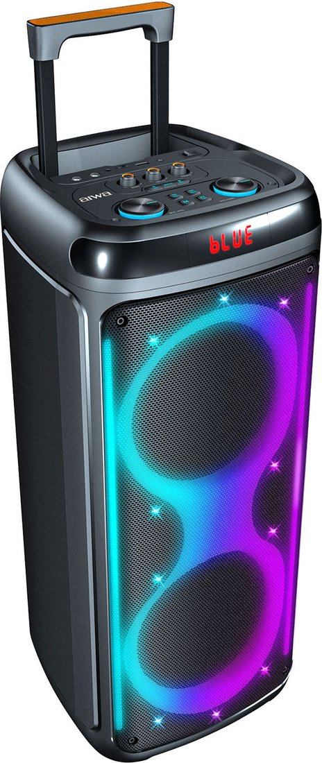 

Патибокс Aiwa CAS-513