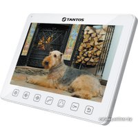 Монитор Tantos Sherlock +