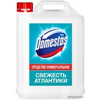 Средство универсальное Domestos Свежесть Атлантики 5 л