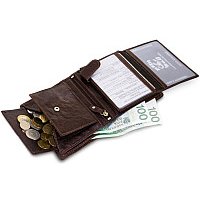 Портмоне с автодокументами Cedar Always Wild N4-BC (коричневый)