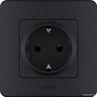 Розетка Legrand Inspiria 673723