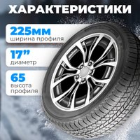 Зимние шины Autogreen Snow Chaser AW02 225/65R17 102T