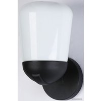 Уличный настенный светильник Ambrella light Garden ST2083