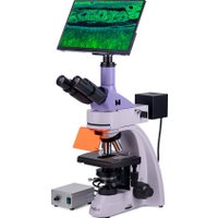 Микроскоп Magus Lum D400L LCD 83019