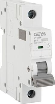 

Выключатель автоматический GEYA GYM9H-1P-63B 1P 63A B 10kA 1M GYM9H1P63B