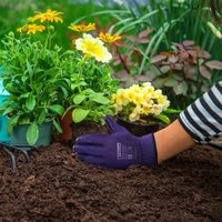 Перчатки из полиэстера Fiberon Барбарис PR-NP191