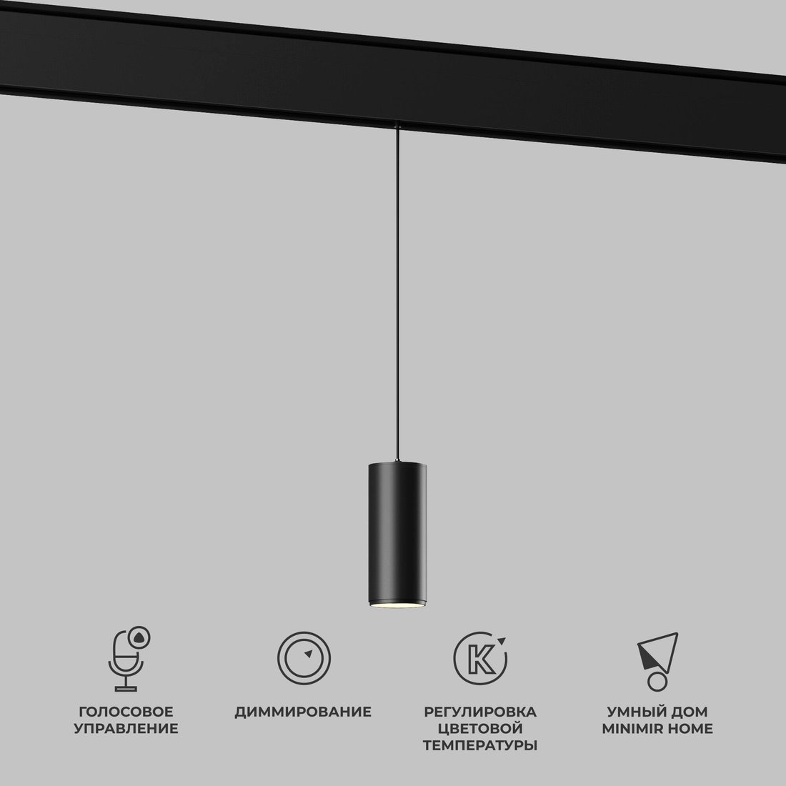 

Трековый светильник Elektrostandard Dim Amend 85072/01 7W 2700-6500K (черный)