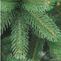 Ель Бифорес Премиум (2.2 м, темно-зеленый)