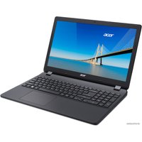 Ноутбук Acer Extensa EX2519-C4GZ NX.EFAER.106
