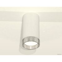 Припотолочная люстра Ambrella light Techno spot XS8161010 SWH/CL