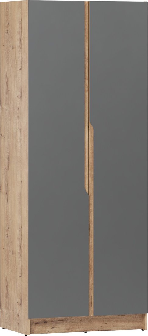 

Шкаф распашной ЭлиГард Aura 2D (дуб вотан/графит)