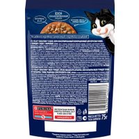 Пресервы Felix Sensations с курицей в желе с морковью 75 г (26 шт)