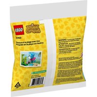 Конструктор LEGO Animal Crossing 30703 Пляжная картина Джулиана