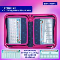 Пенал BRAUBERG 272318