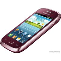 Телефон Samsung Galaxy Young (S6310)