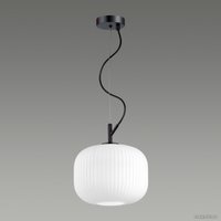 Подвесная люстра Odeon Light Roofi 4753/1