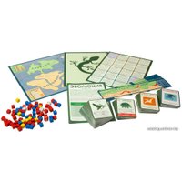 Настольная игра Правильные игры Эволюция. Подарочное издание