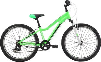 Fuji Dynamite 24 Boys (2014)