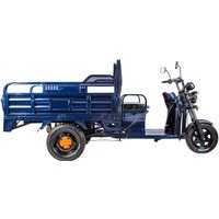 Грузовой электроскутер Rutrike D4 1800 60V 1200W (синий)