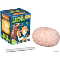 Набор для опытов Bondibon Исторические раскопки Науки с Буки. Яйцо динозавра ВВ4780