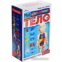 Набор для опытов Эврики Мое удивительное тело 5483302