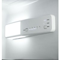 Холодильник LEX RBI 250.21 DF в Орше