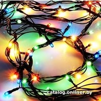 Светодиодная гирлянда Ecola N2YM06ELC